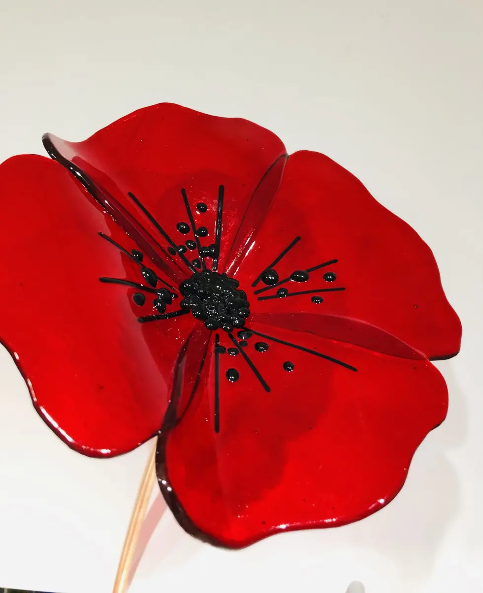 Poppy - outdoor garden art. Head approx 18cm across on a copper steam approx 70cm. £50.00