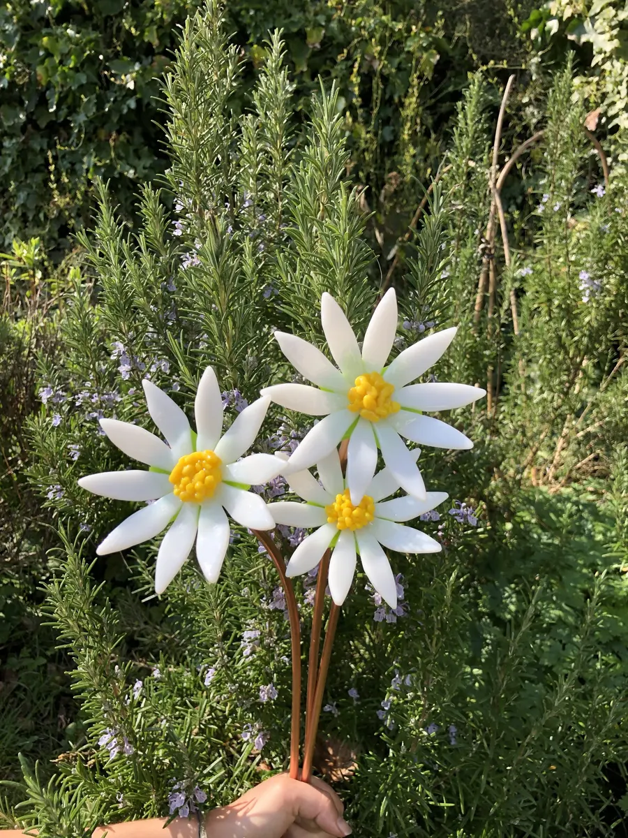 Fused glass daisies. Approx 10cm across and approx 40cm high on copper stem. ��45.00 each.