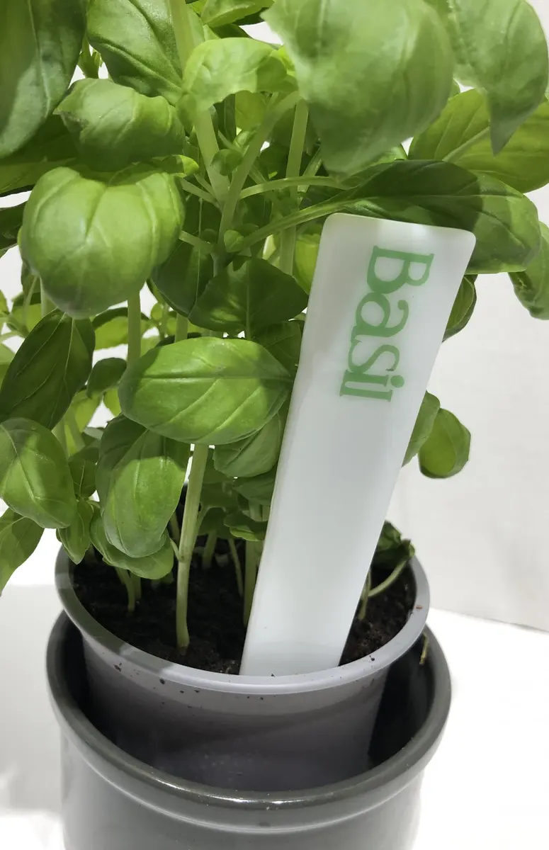 Plant labels approx 15 cm x 3cm at widest part £5 each. Can be customised.